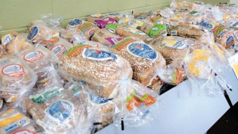 ‍‍‍ En 2017, 11 % des clients de Les Banques alimentaires du Québec avaient…