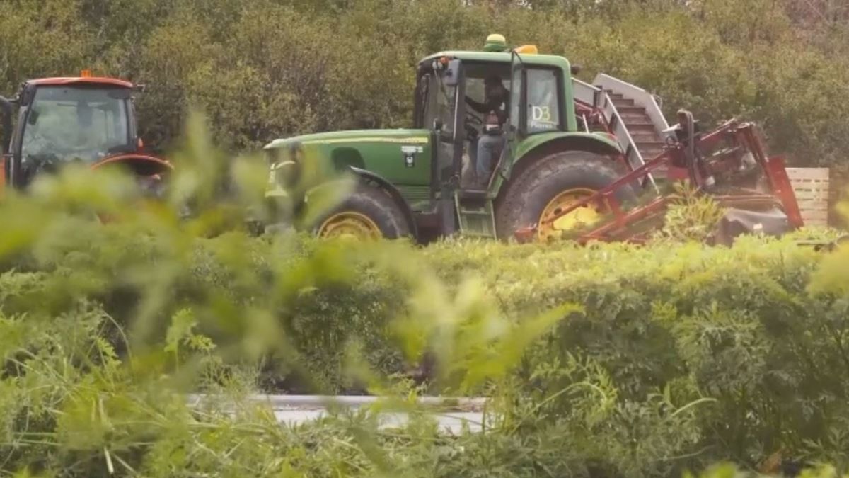 🥕 Récipiendaire en 2018 du Prix Action de la Fondation David Suzuki et finaliste…