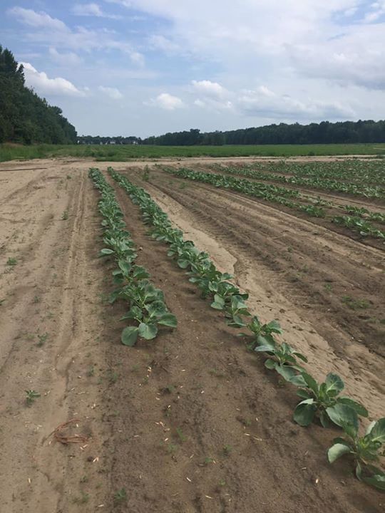 Incoyable mais étéoMédia nous annonce une 4e canicule ce weekend! ‍‍ Pendant ce temps,…