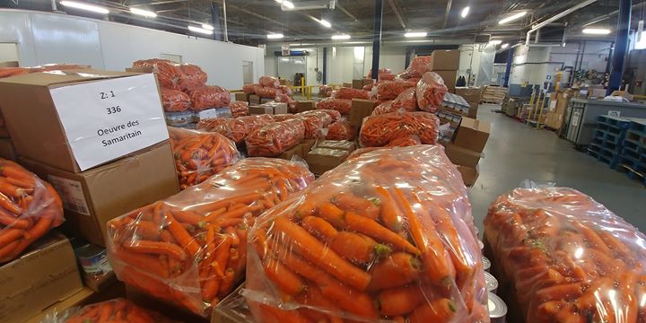 L&rsquo;entrepôt de Moisson Montréal regorge de nos belles carottes #bio Cultiver l&rsquo; Un total…