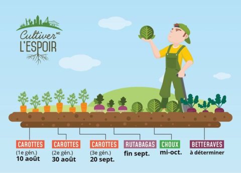 55954345_1251541208328472_681400521470246912_o.jpg En ce début d’avril, nous sommes avec notre partenaire agricole D-Trois-Pierres en pleine planification…