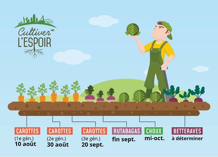 En ce début d’avril, nous sommes avec notre partenaire agricole D-Trois-Pierres en pleine planification…