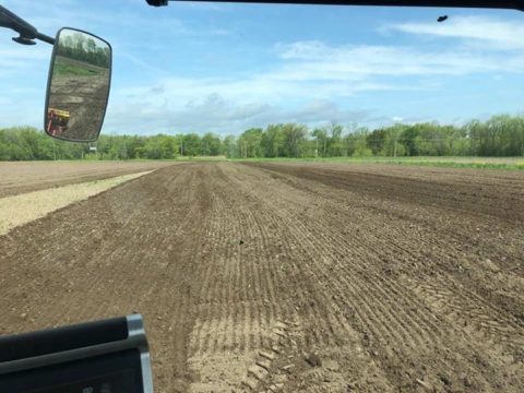 61331280_1291545327661393_1410140503189487616_n.jpg Enfin un peu de aujourd’hui ! Cela nous a permis de débuter les semis…