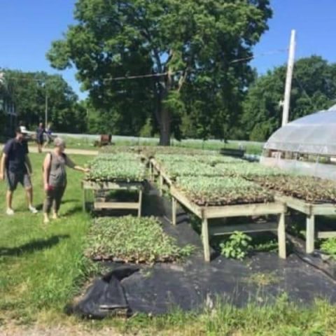 65721188_324561161767726_8307080119038509056_n.jpg Aujourd’hui, toute notre équipe s’est rendue aux champs de D-Trois Pierres pour voir comment…