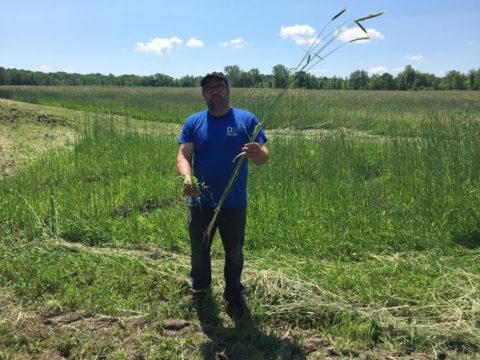67236745_1332096136939645_332220260126031872_o.jpg 🥕 Cultiver l’Espoir (et l’agriculture en général) : un projet de longue haleine !…