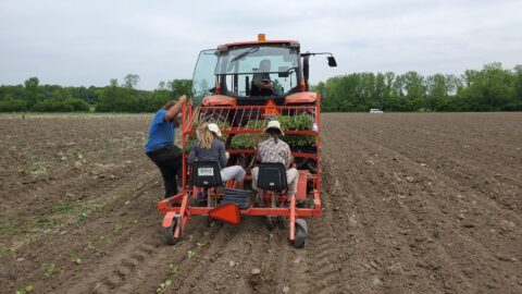 paniers-cultiver-l039espoir-via-facebook.jpg 🍓🥕🥒 PANIERS CULTIVER L'ESPOIR 🍓🥕🥒(via facebook)