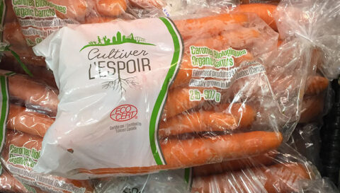 cl2023-infolettre_804-457 sac de carottes