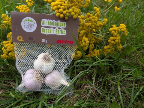 Cultiver l’Espoir – Ail biologique